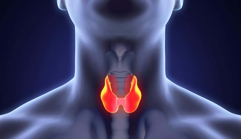 اعراض سرطان الغدة الدرقية د. أحمد سعفان | أول مركز متخصص في الأشعة التداخلية في الدلتا